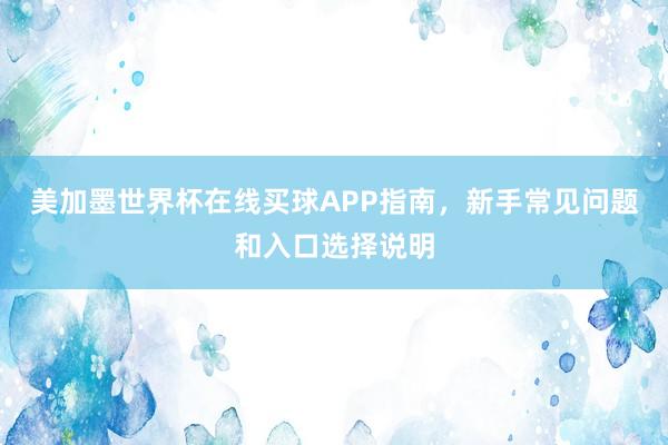 美加墨世界杯在线买球APP指南，新手常见问题和入口选择说明