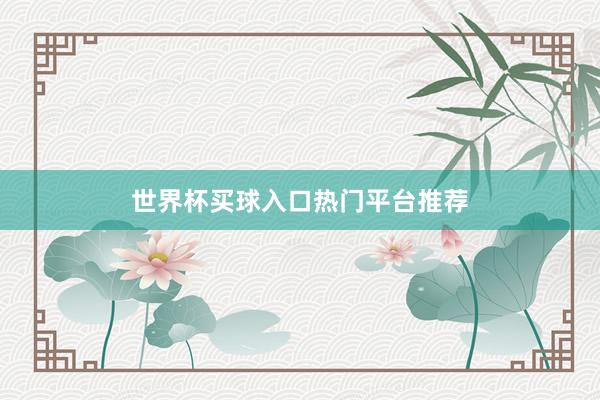 世界杯买球入口热门平台推荐